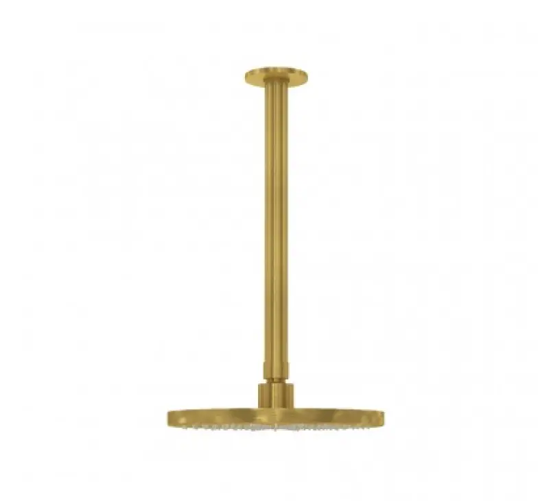 Waterevolution Flow soffione doccia 250 mm con attacco a soffitto in ottone spazzolato T164225LE