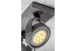Lampada da soffitto o da parete Decor Wally in antracite con testa mobile e 2 fonti luminose 4304.