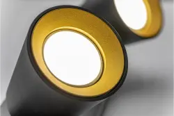 Decor Elli moderna lampada da soffitto nera con 2 fonti luminose 4557