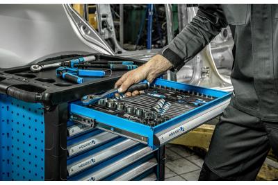 Hoegert Armadio degli attrezzi 252 articoli 1208962014